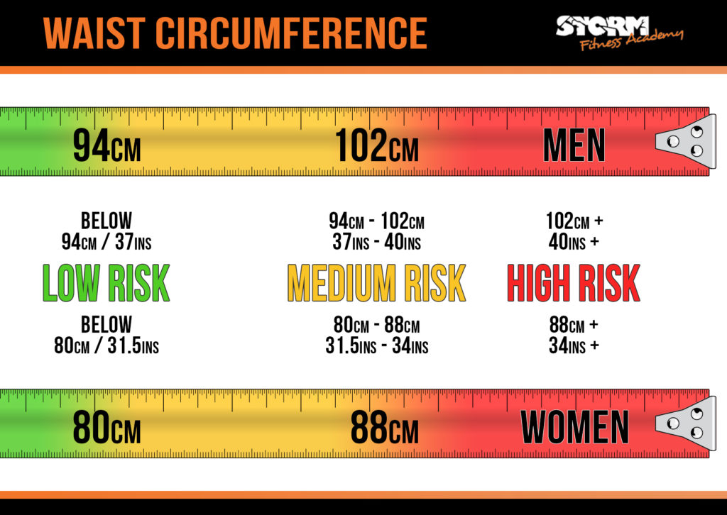 Health check - Waist circumference - Storm Fitness Academy