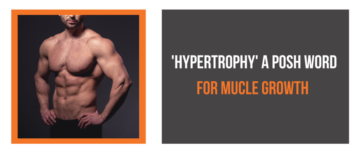 Words Related To Hypertrophy